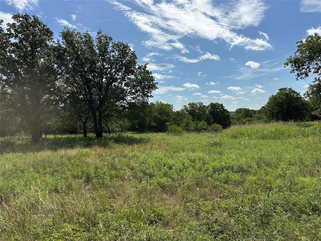 570 Big Salty Lane Springtown, TX 76082 - Photo 29 of 36 Expansive open field with natural grasses and mature trees at the perimeter