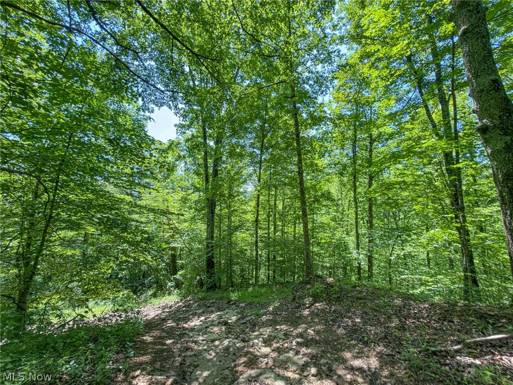 0 Twp Road Marietta, OH 45750 - Photo 21 of 50