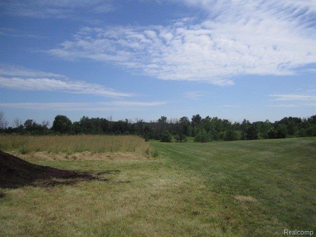 5445 37 Mile Road Romeo, MI 48065 - Photo 6 of 23 5445 37 Mile Road - Vacant Land0