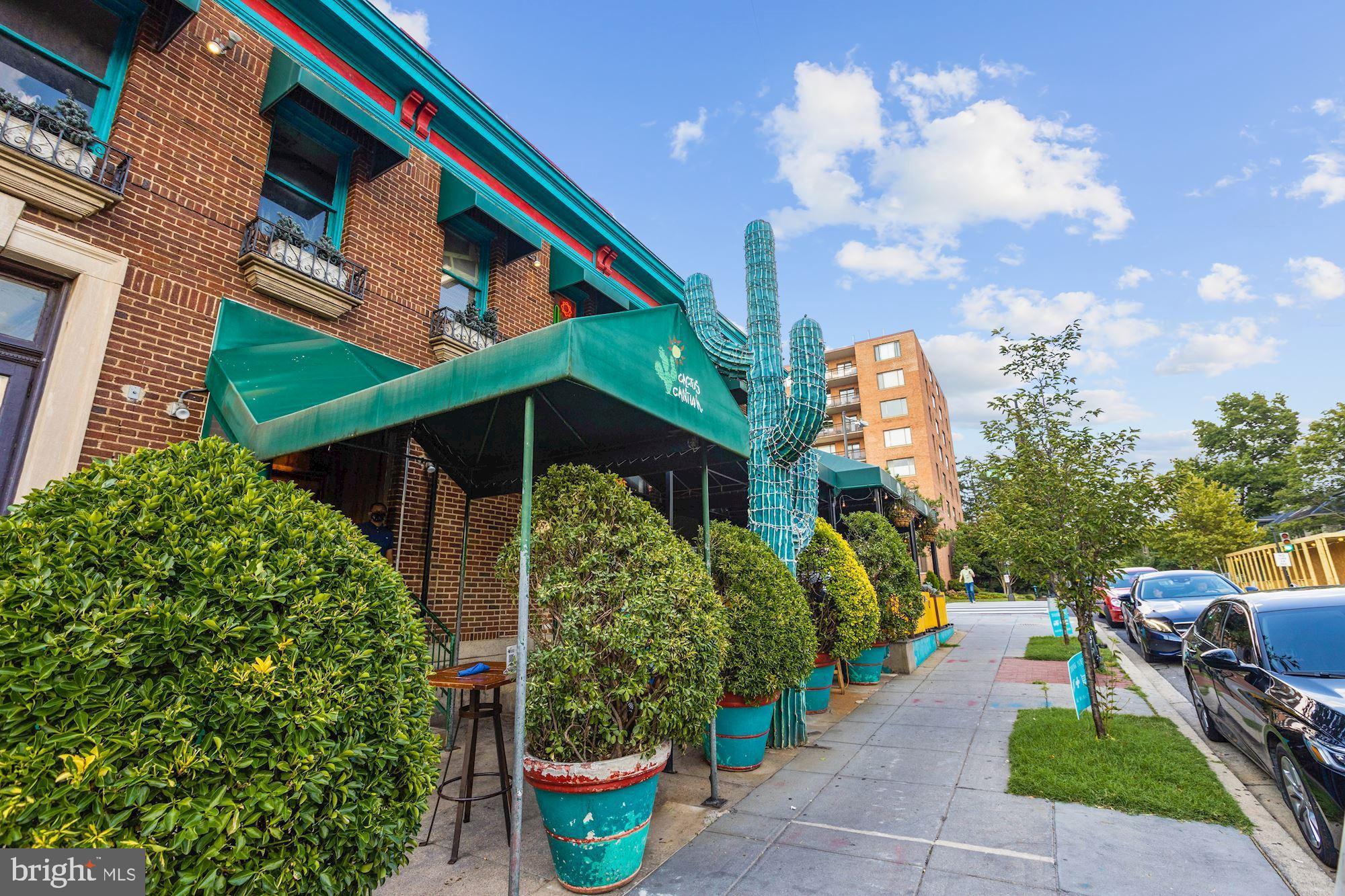 3611 38th Street Northwest, Unit 403 Washington, DC 20016 - Photo 17 of 20 Cactus Cantina- Staple DC Mexican food