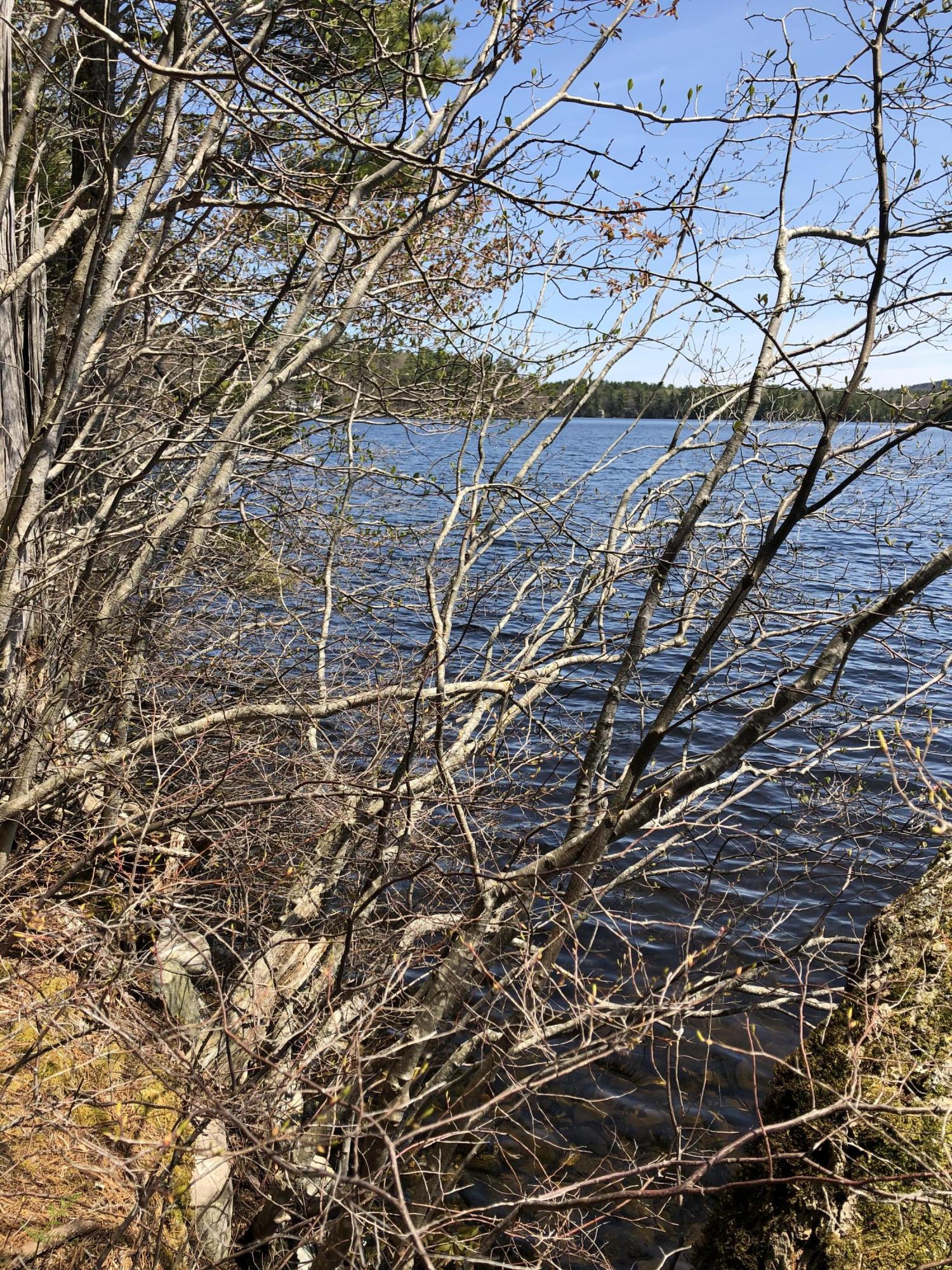 0 Scoppa Road Lincolnville, ME 04849 - Photo 2 of 10 IMG_5212