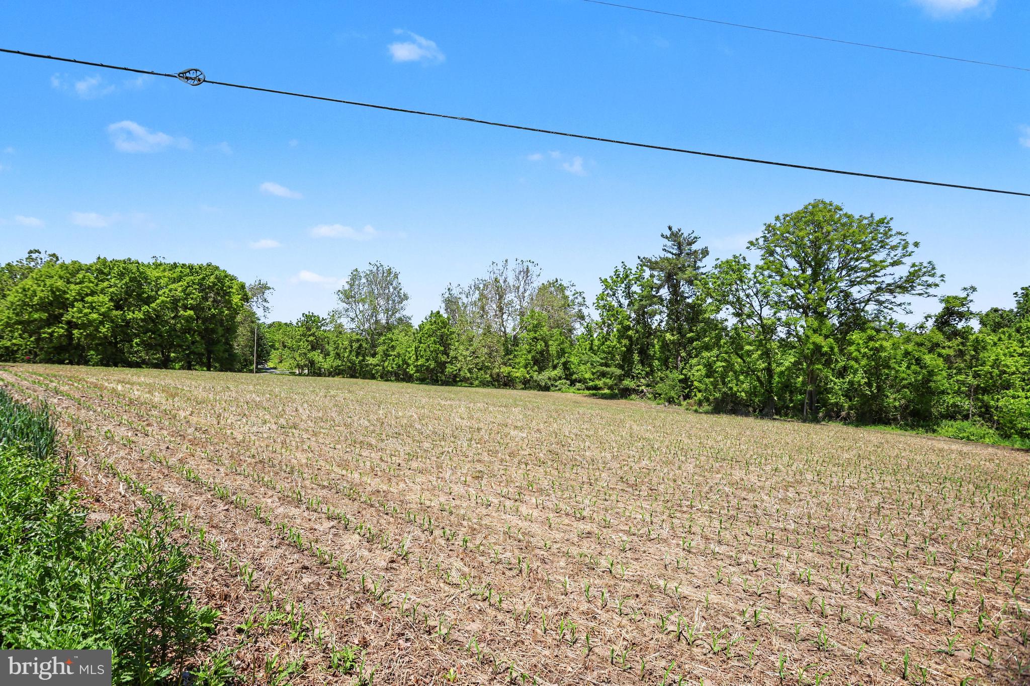 0 Big Oak Road Dillsburg, PA 17019 - Photo 2 of 18 a view of a yard
