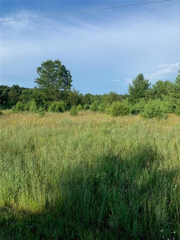 17.5-acres Lowes Creek Road Strum, WI 54770 - Photo 1 of 1 Gallery Image 1