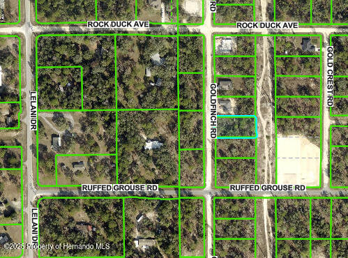 0 Goldfinch Road Weeki Wachee, FL 34614 - Photo 3 of 3