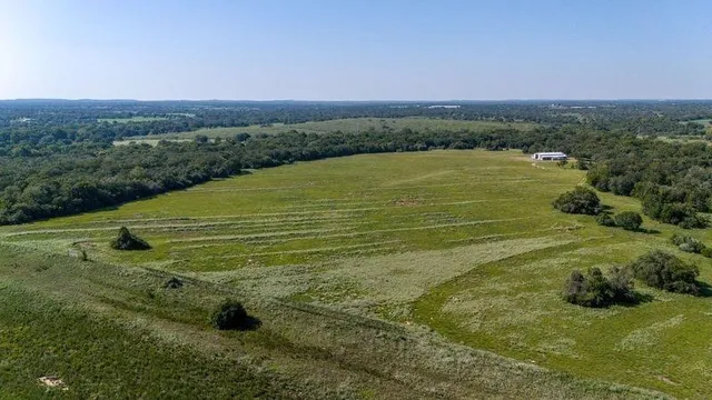 a view of a field with an ocean