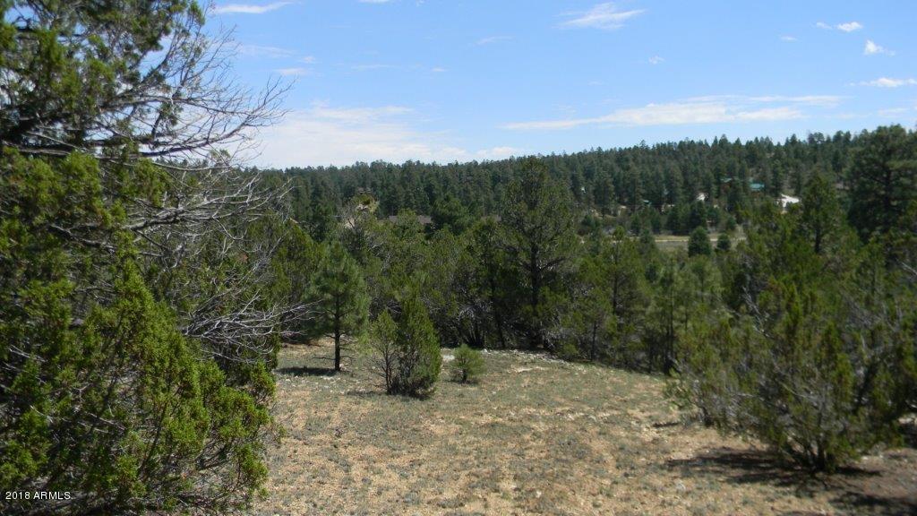 2868 Rockledge Road, Unit 41 Heber, AZ 85928 - Photo 1 of 1 a view of a forest with a tree