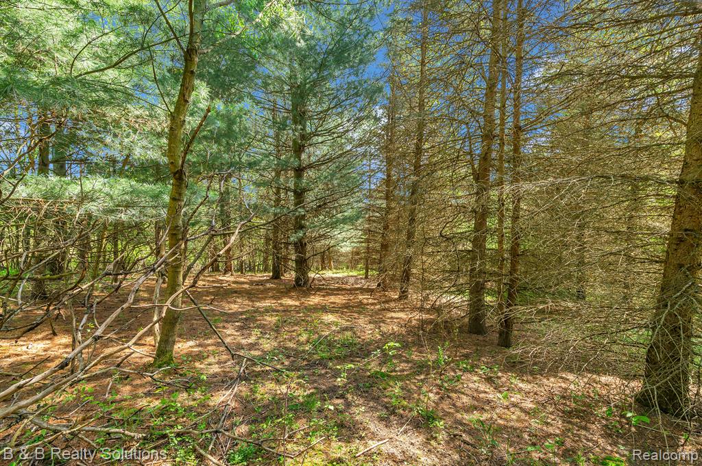 2864 North Blacks Corners Road Imlay City, MI 48444 - Photo 48 of 60 Gallery Image 48