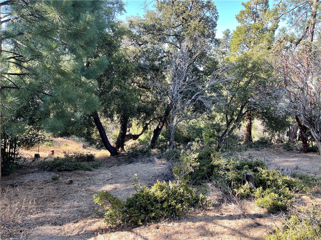 0 Valley View Drive Idyllwild, CA 92549 - Photo 3 of 5 a view of an outdoor space with a lake view