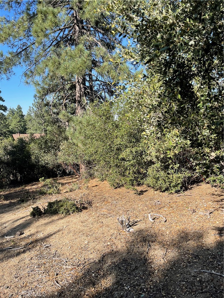 0 Valley View Drive Idyllwild, CA 92549 - Photo 4 of 5 a view of a road with a tree