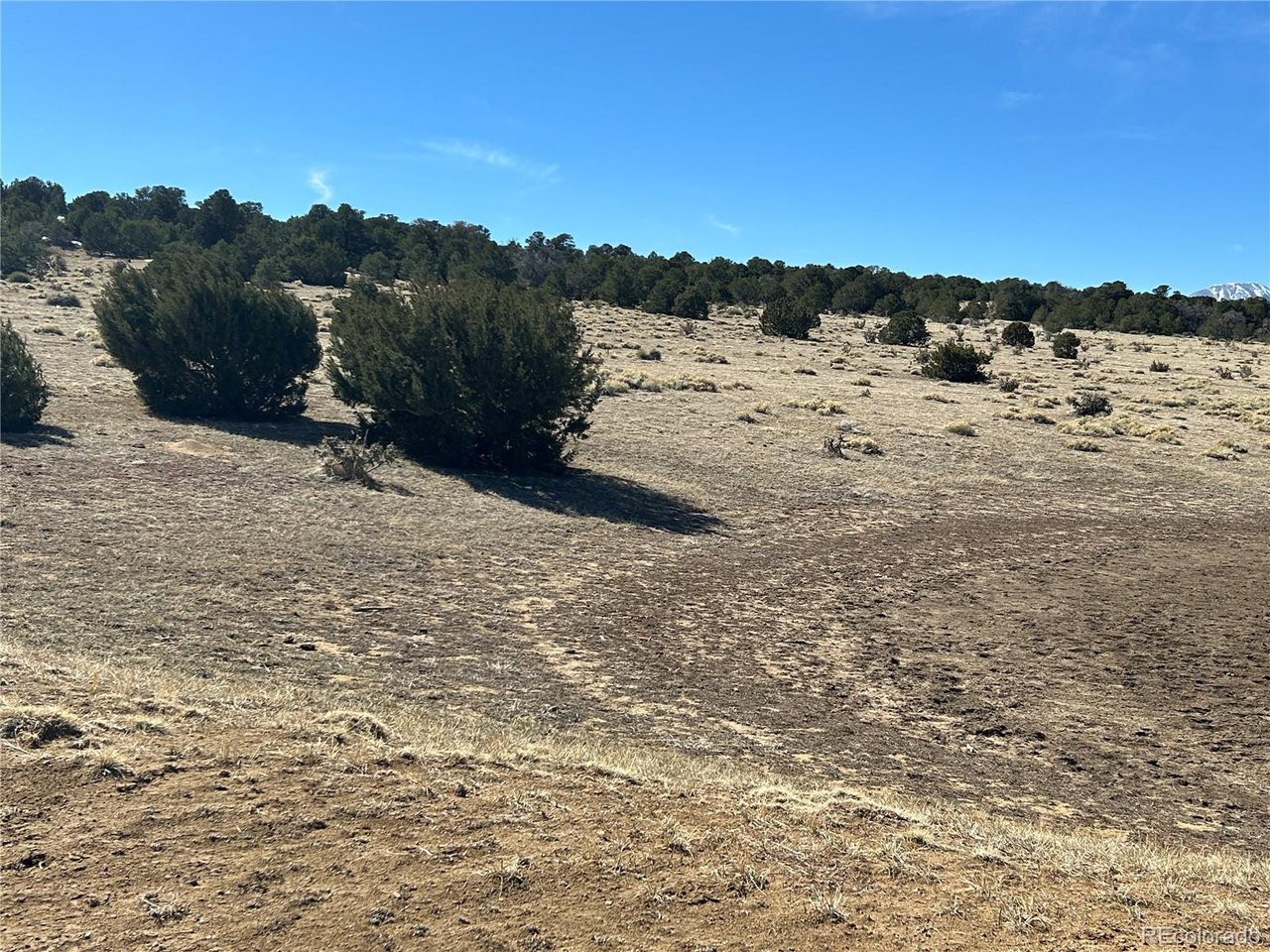 26 Tioga Ranch Walsenburg, CO 81089 - Photo 14 of 24 Gallery Image 14