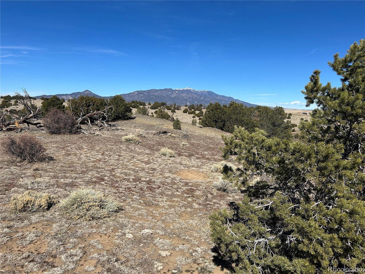 26 Tioga Ranch Walsenburg, CO 81089 - Photo 15 of 24 Gallery Image 15