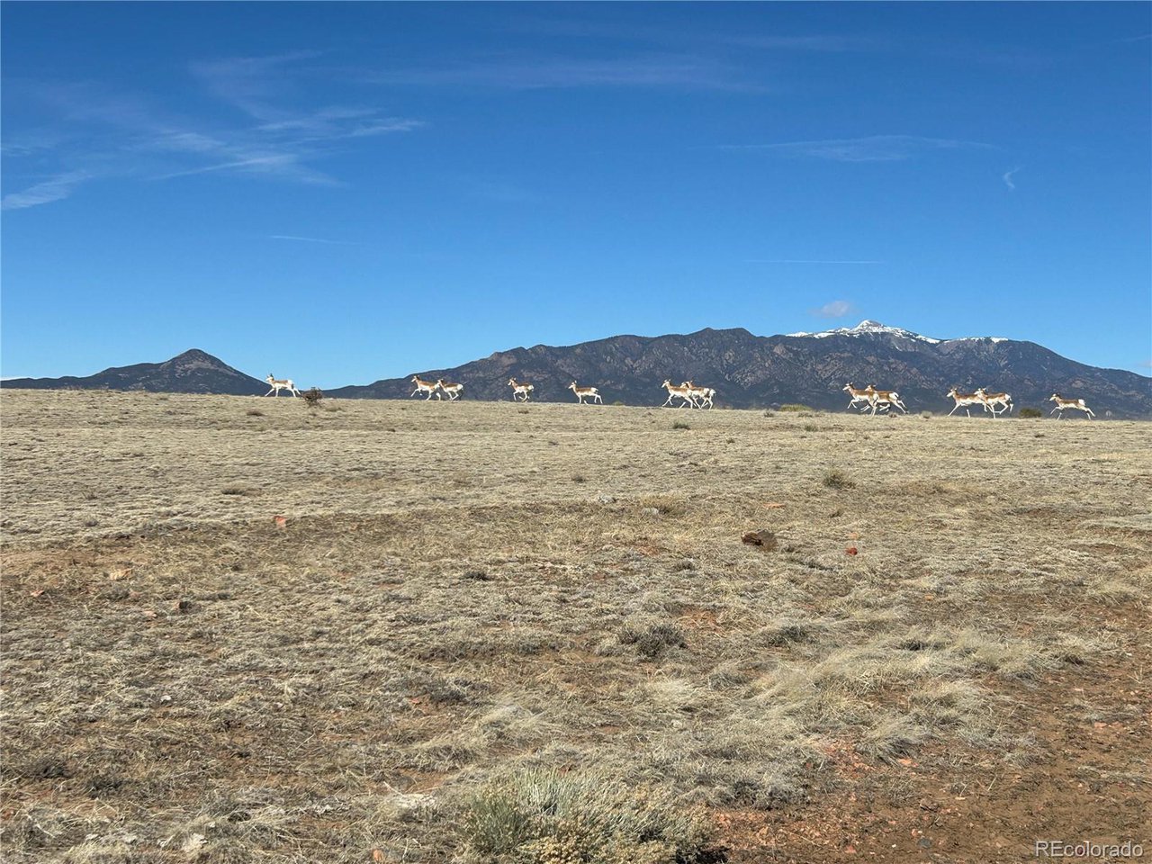 26 Tioga Ranch Walsenburg, CO 81089 - Photo 19 of 24 Gallery Image 19