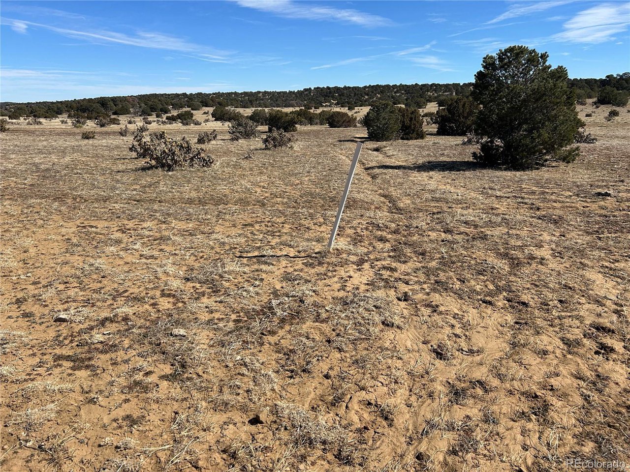 26 Tioga Ranch Walsenburg, CO 81089 - Photo 20 of 24 Gallery Image 20