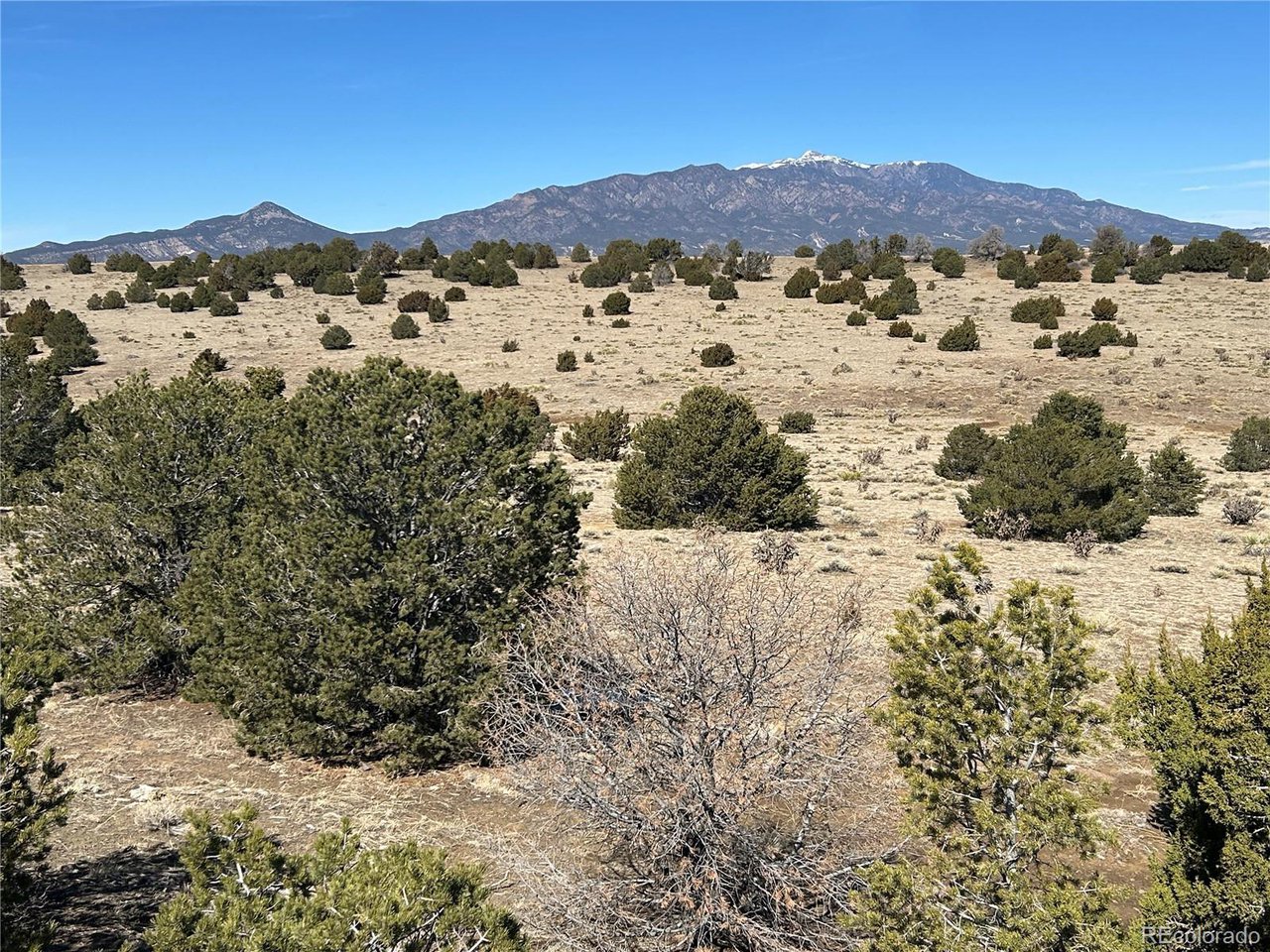 26 Tioga Ranch Walsenburg, CO 81089 - Photo 2 of 24 Gallery Image 2