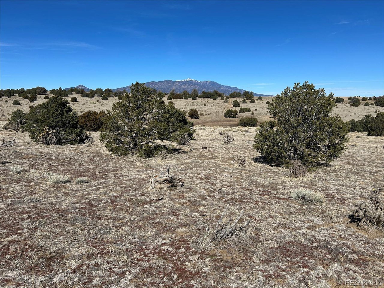 26 Tioga Ranch Walsenburg, CO 81089 - Photo 24 of 24 Gallery Image 24