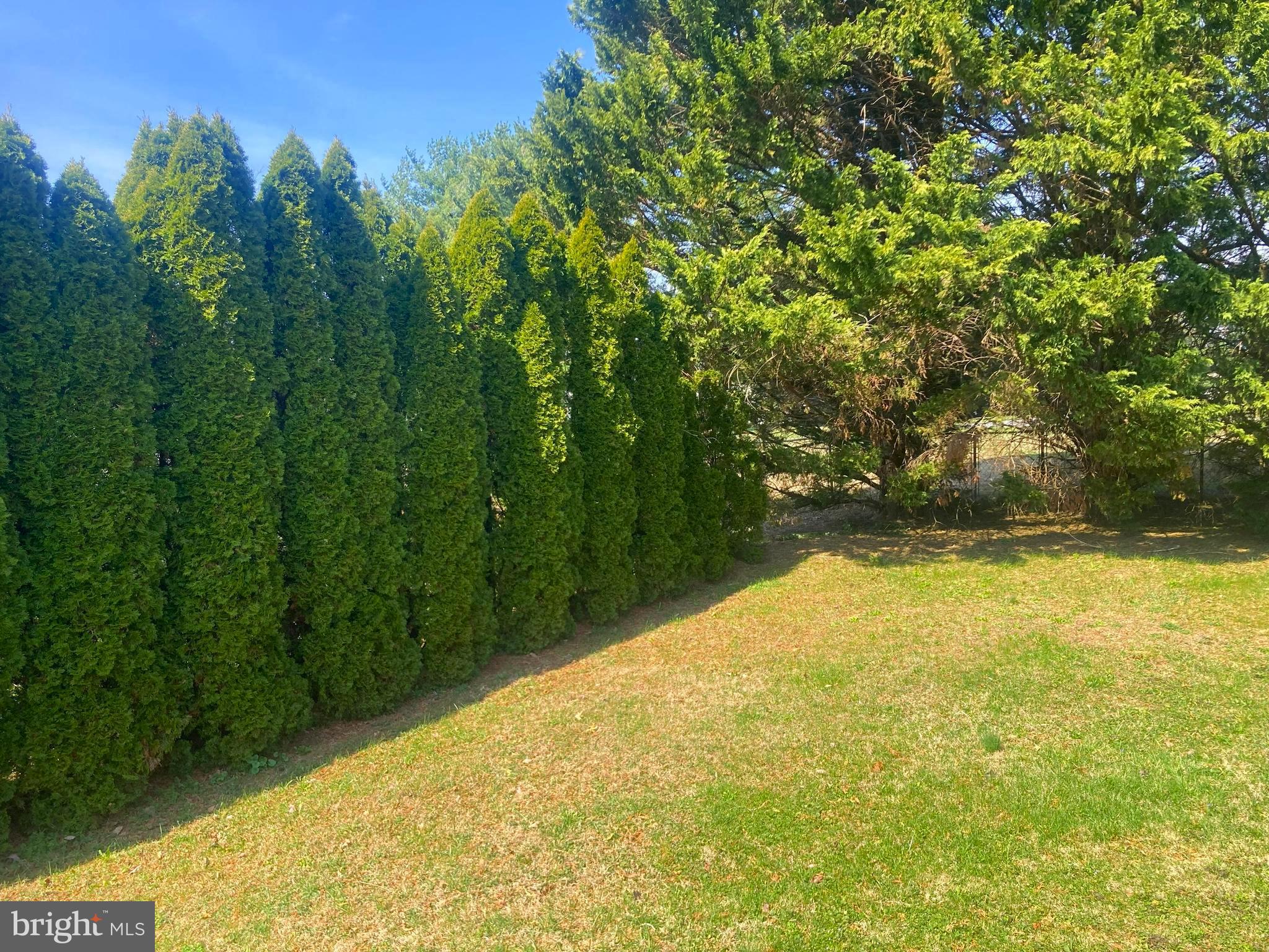3624 Kemptown Church Road Monrovia, MD 21770 - Photo 18 of 68 Evergreens provide total privacy!