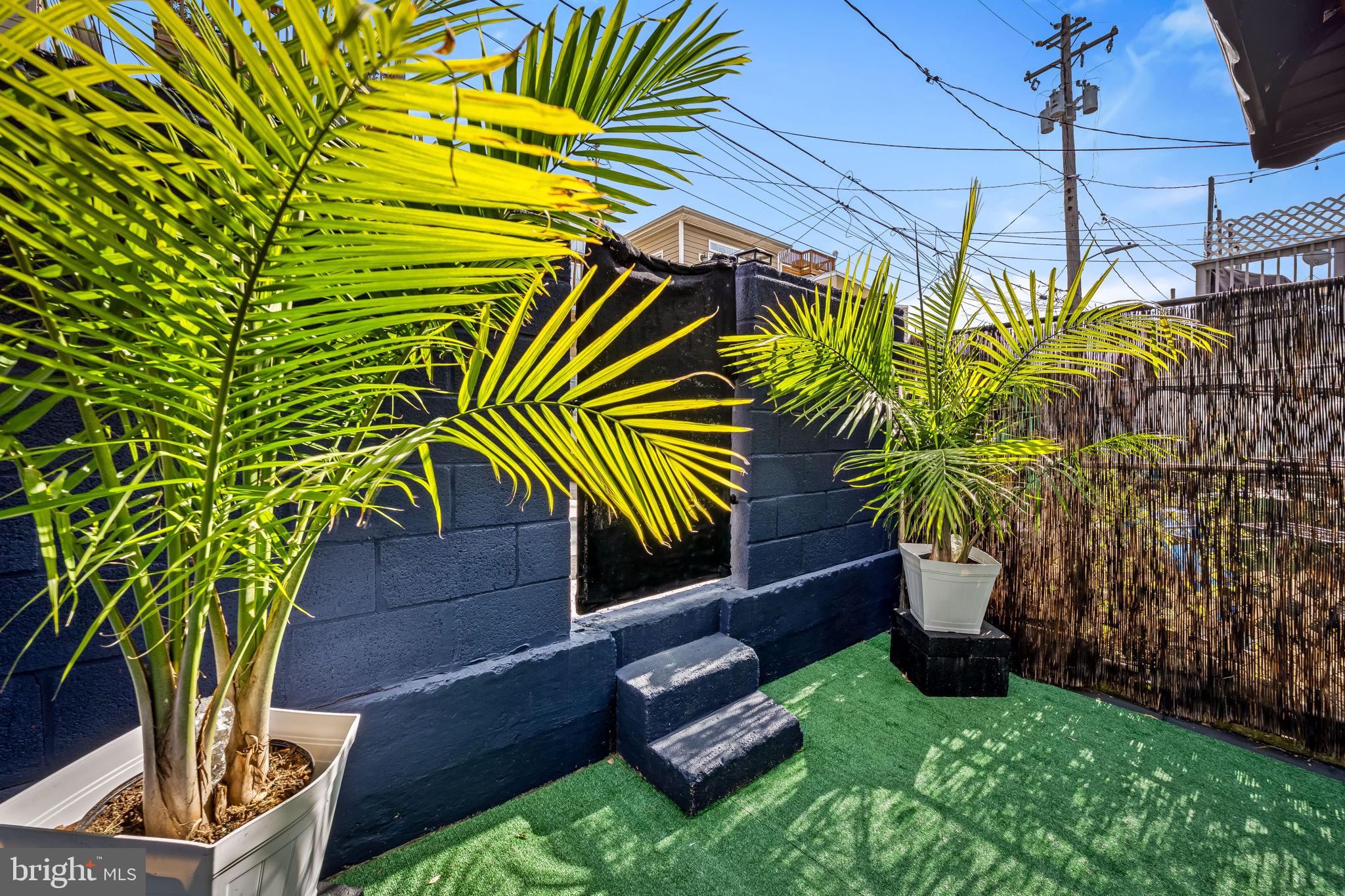 417 South Madeira Street Baltimore, MD 21231 - Photo 33 of 33 a view of a yard with plants and a palm tree