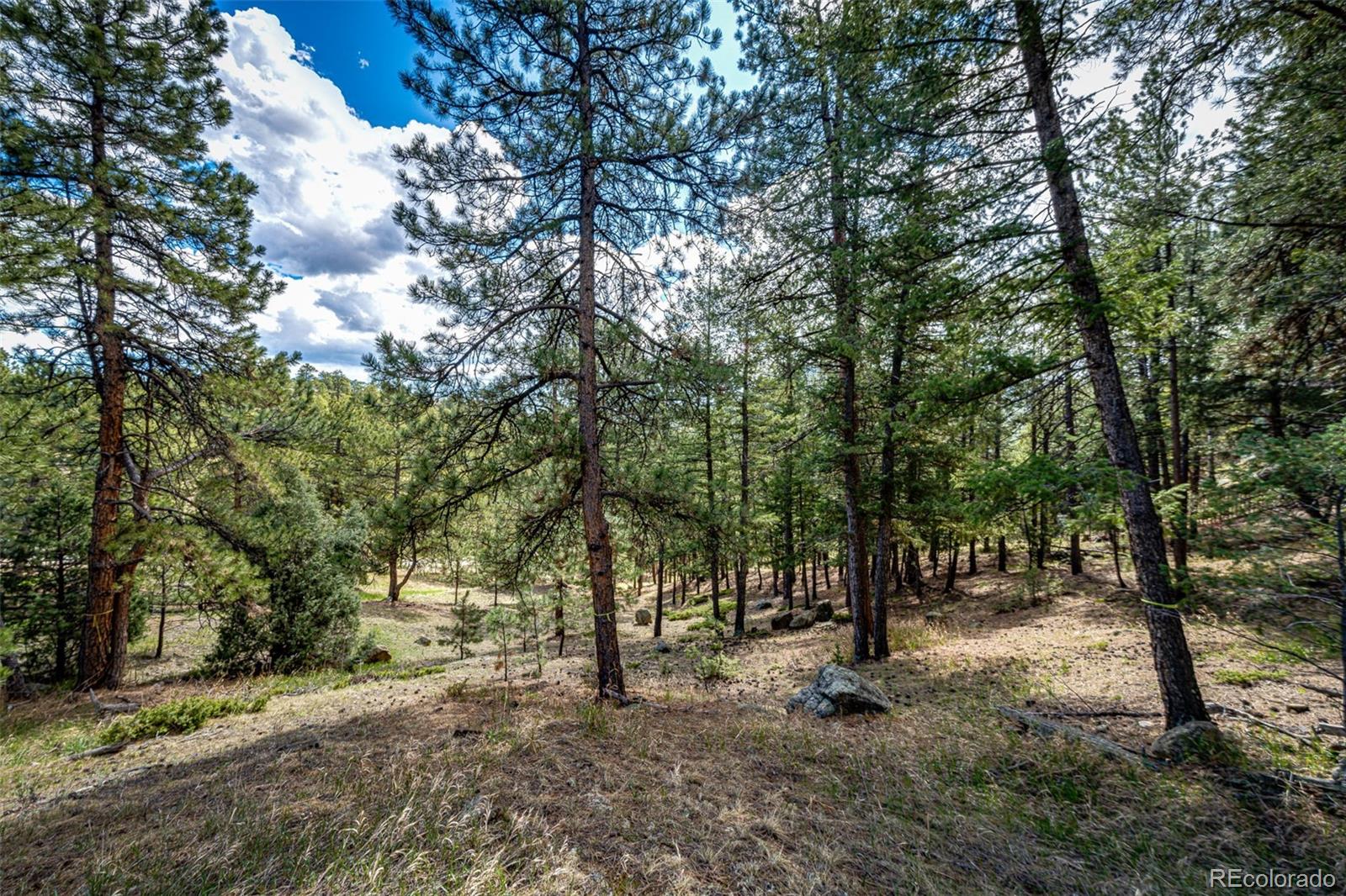 4094 Alpine Drive Evergreen, CO 80439 - Photo 12 of 39 a view of outdoor space with trees