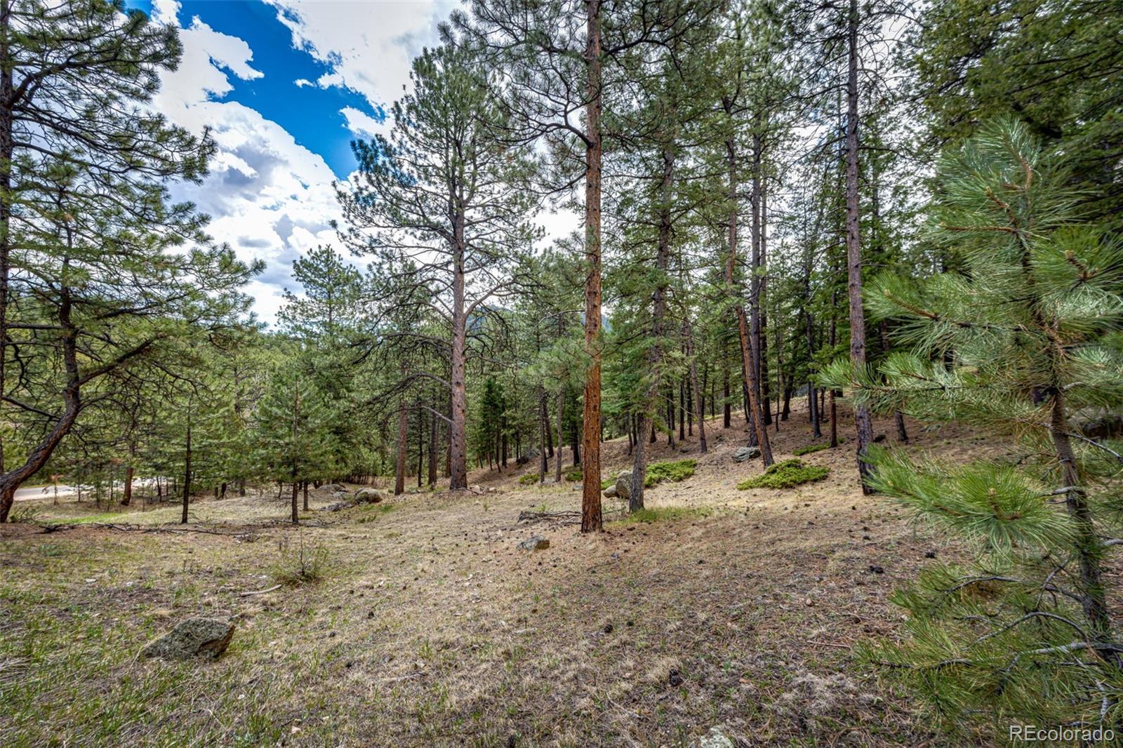 4094 Alpine Drive Evergreen, CO 80439 - Photo 15 of 39 a view of outdoor space with trees
