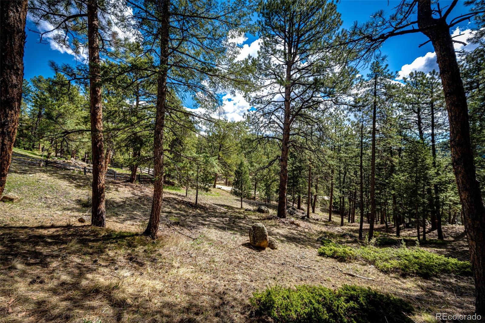 4094 Alpine Drive Evergreen, CO 80439 - Photo 16 of 39 a view of trees and bushes