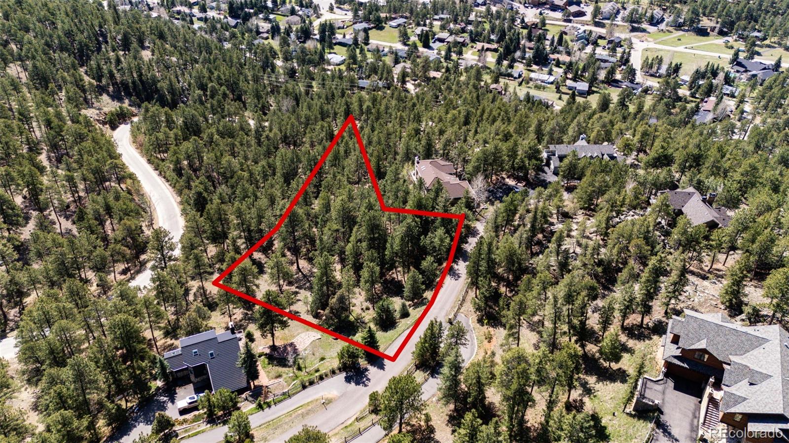 4094 Alpine Drive Evergreen, CO 80439 - Photo 19 of 39 a close up of a palm tree