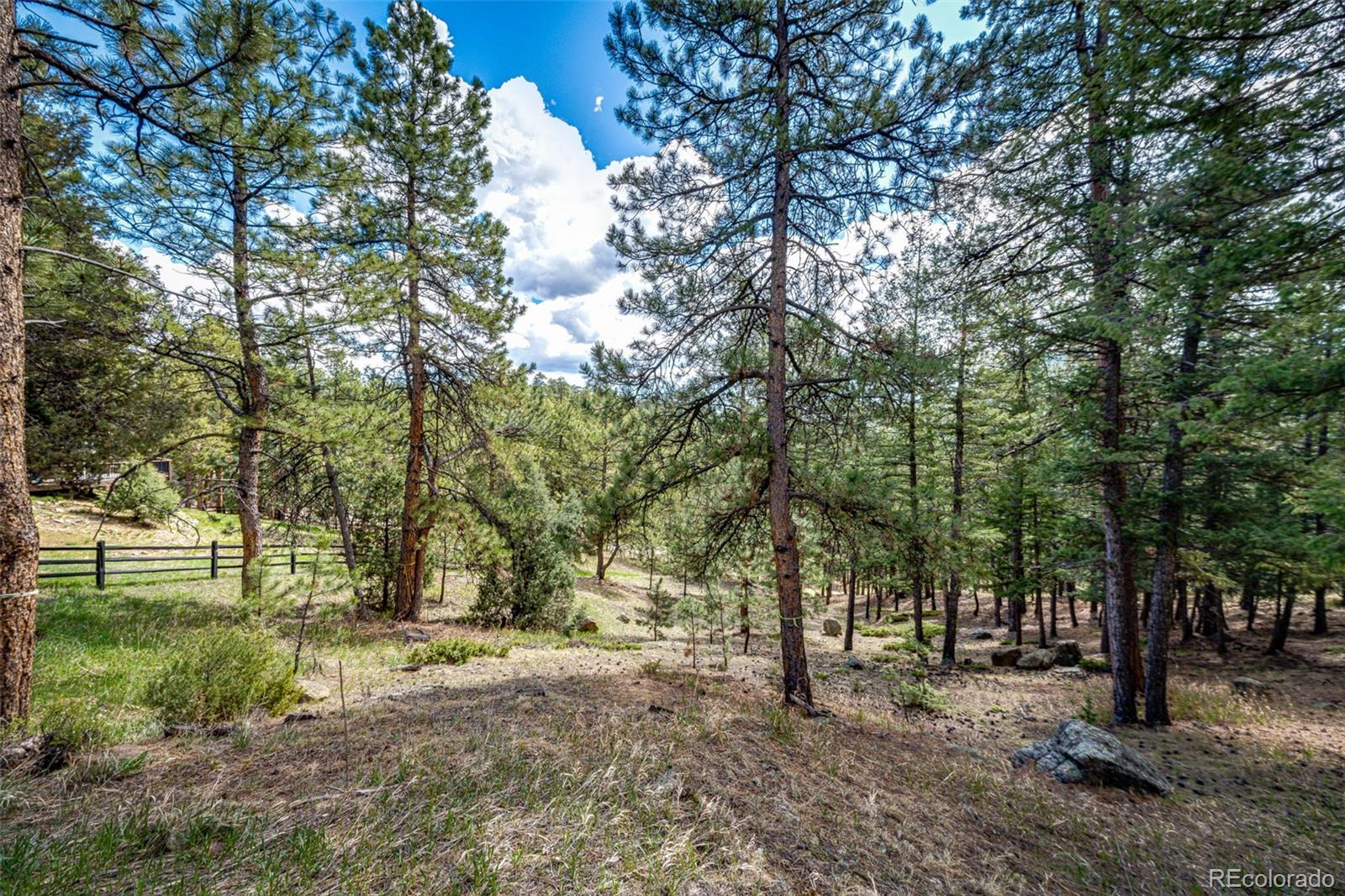 4094 Alpine Drive Evergreen, CO 80439 - Photo 2 of 39 a view of a forest with trees