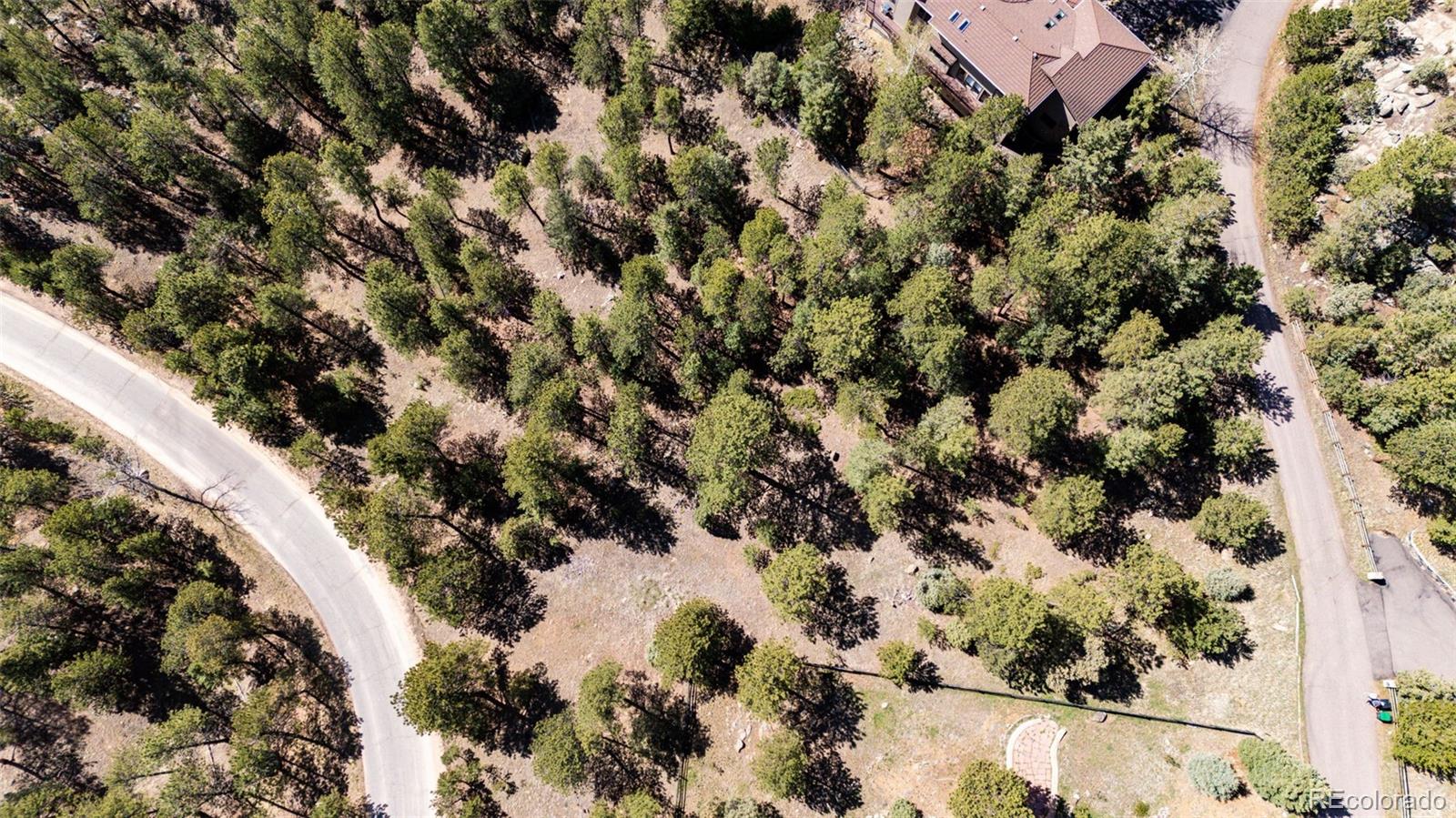 4094 Alpine Drive Evergreen, CO 80439 - Photo 24 of 39 a view of a yard