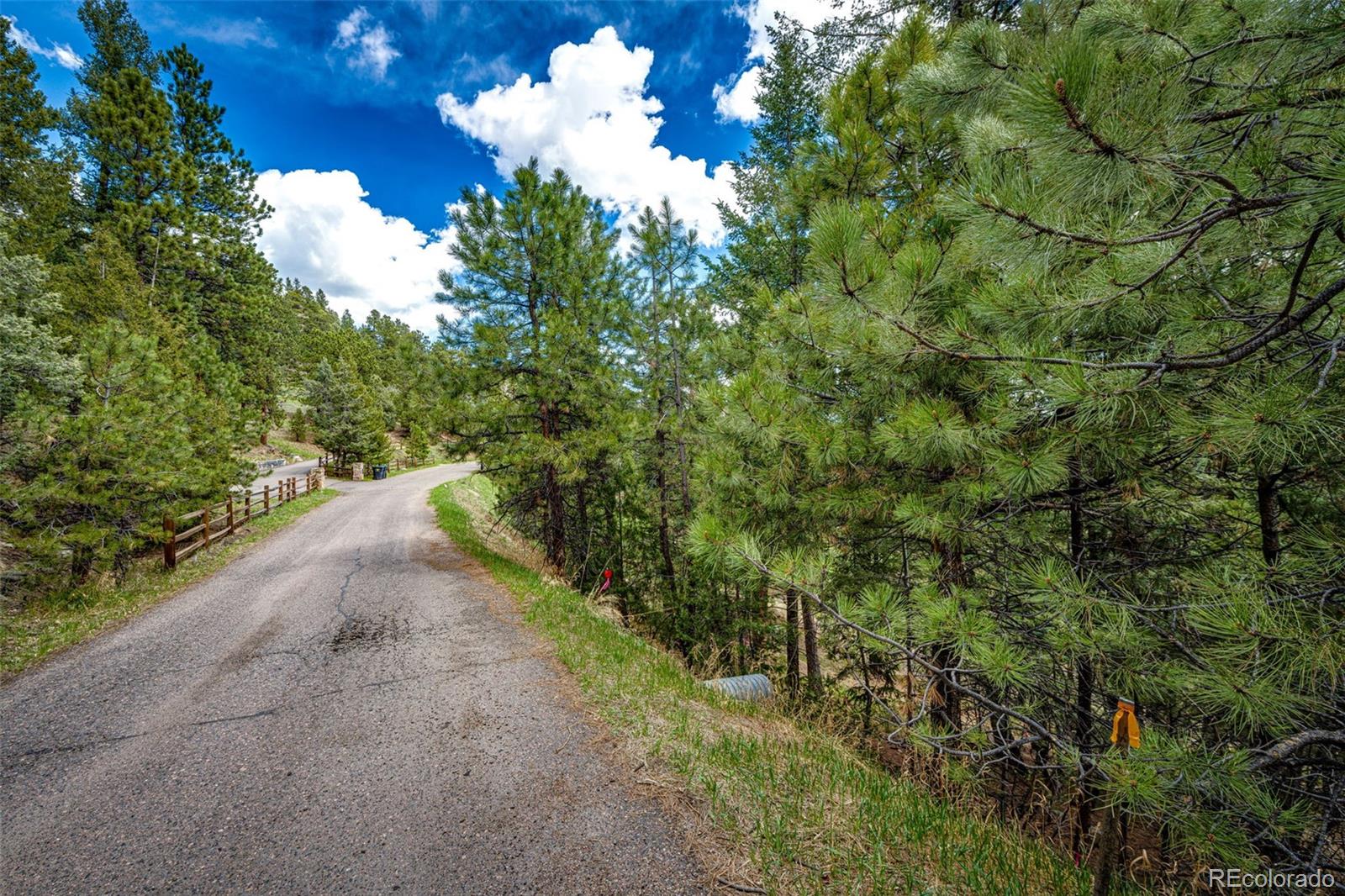 4094 Alpine Drive Evergreen, CO 80439 - Photo 4 of 39 a view of a yard with plants