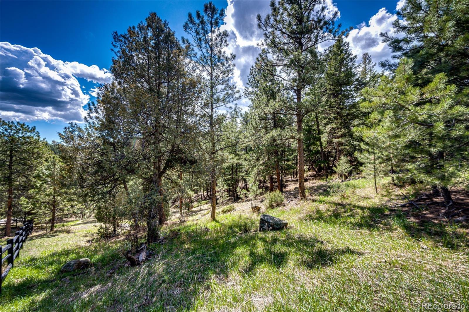 4094 Alpine Drive Evergreen, CO 80439 - Photo 6 of 39 a view of a yard with a tree