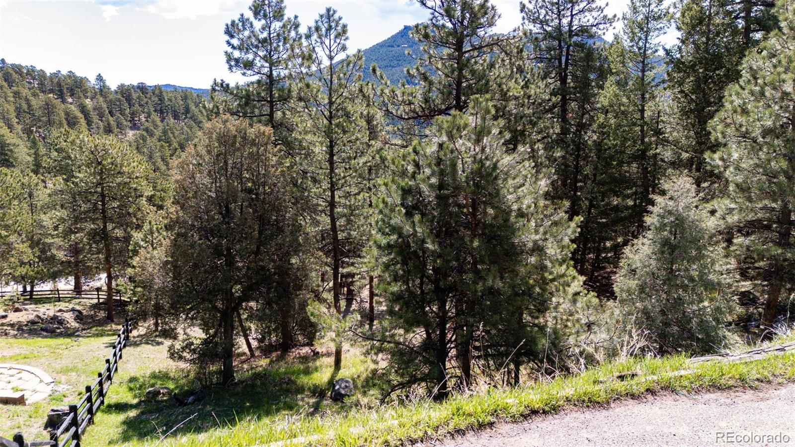 4094 Alpine Drive Evergreen, CO 80439 - Photo 9 of 39 a view of a yard with a tree