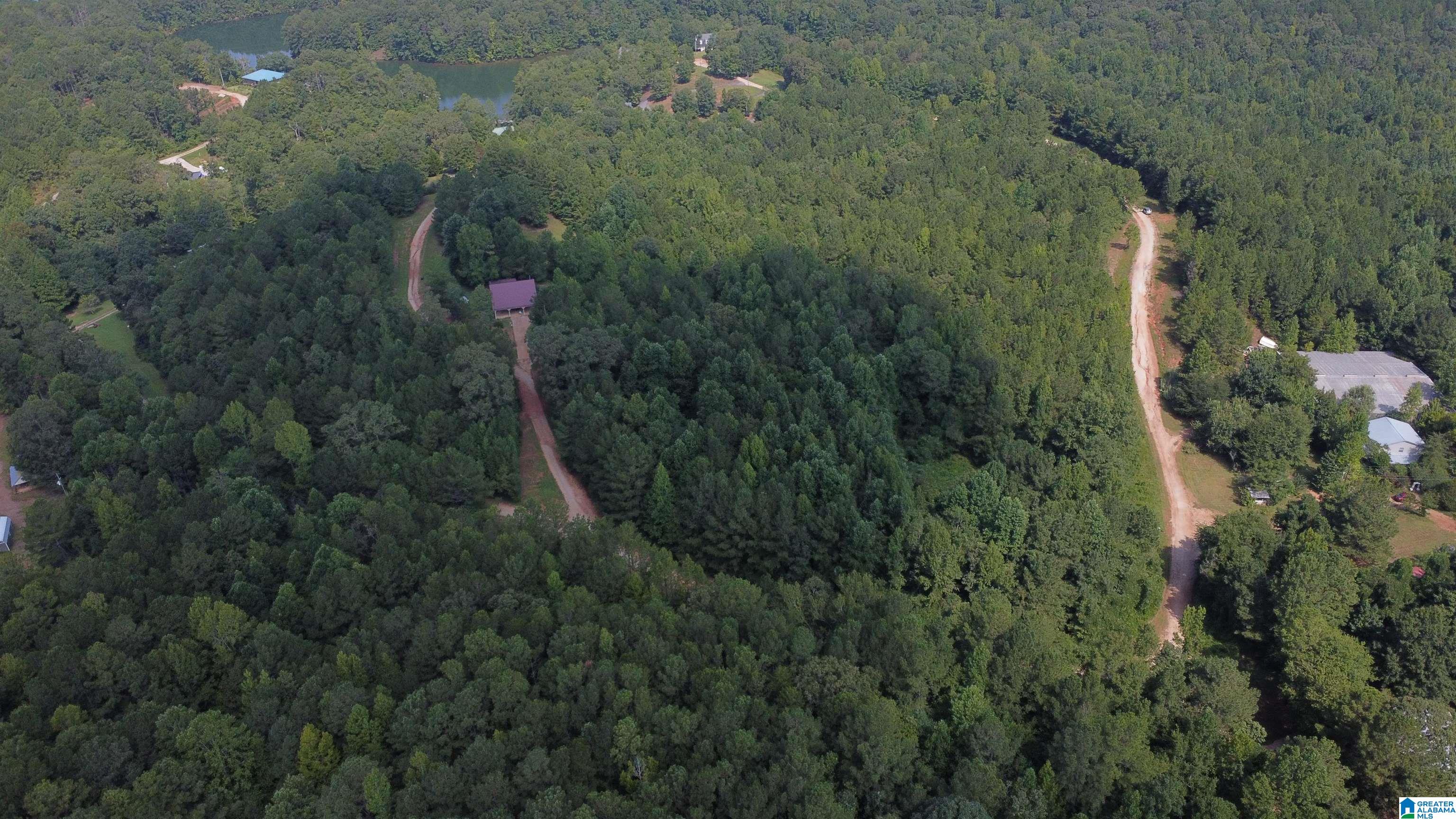 Lane Branch Road, Unit 3 Wedowee, AL 36278 - Photo 5 of 10