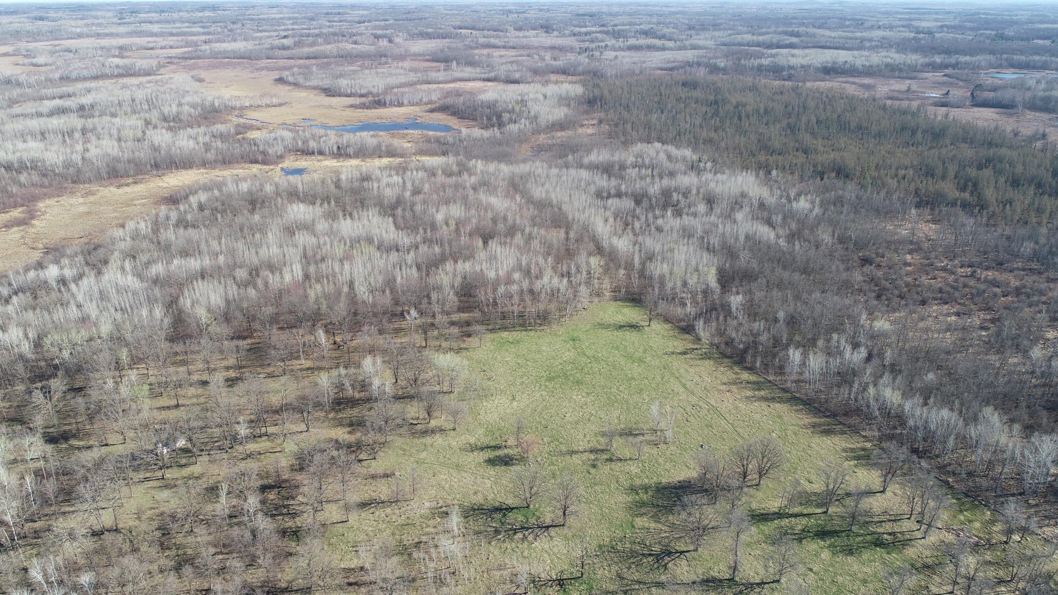 6172 76th Street Southwest Motley, MN 56466 - Photo 15 of 31