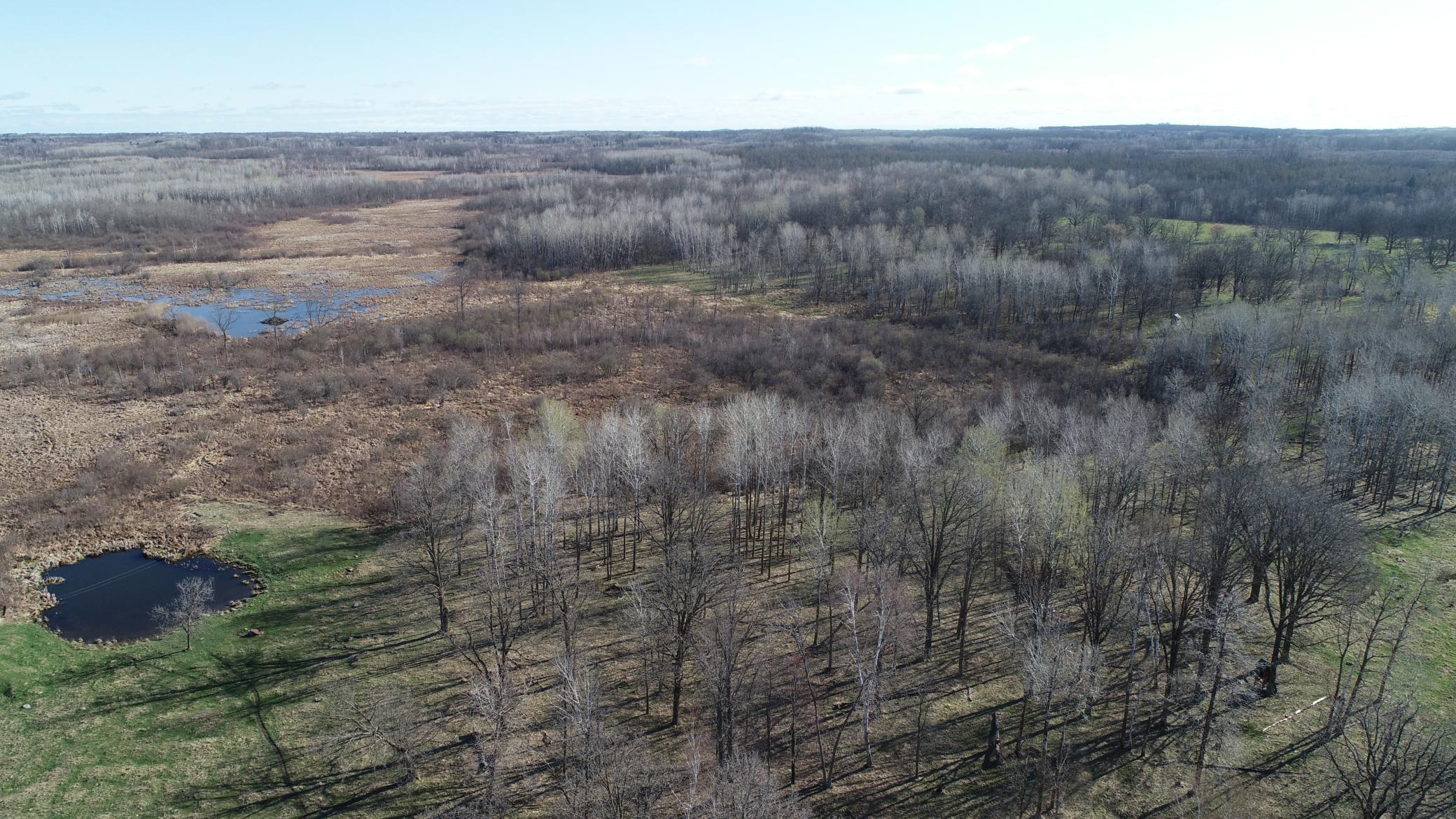 6172 76th Street Southwest Motley, MN 56466 - Photo 9 of 31