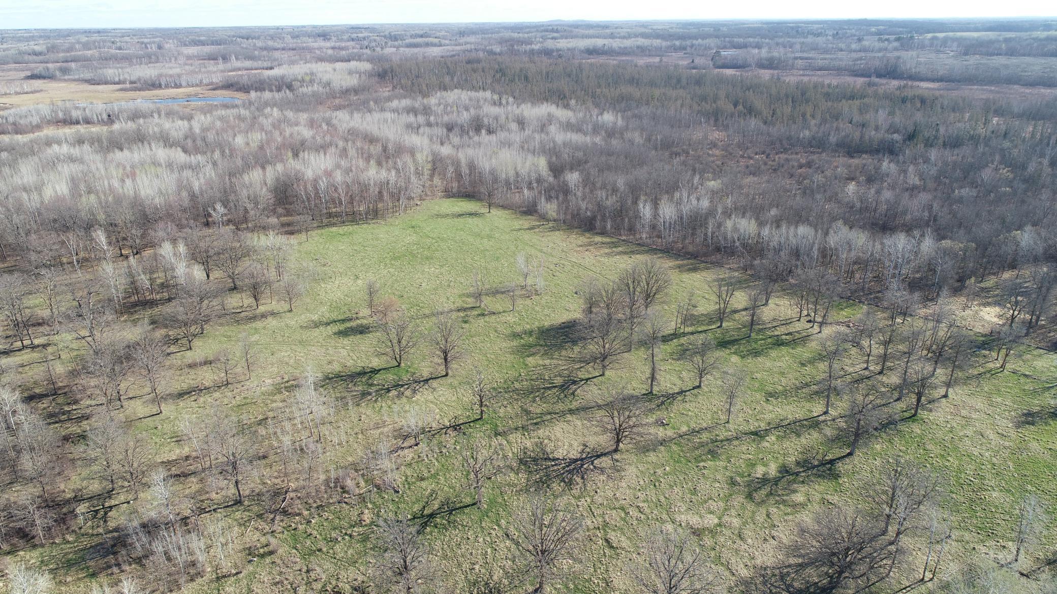 6172 76th Street Southwest Motley, MN 56466 - Photo 10 of 31