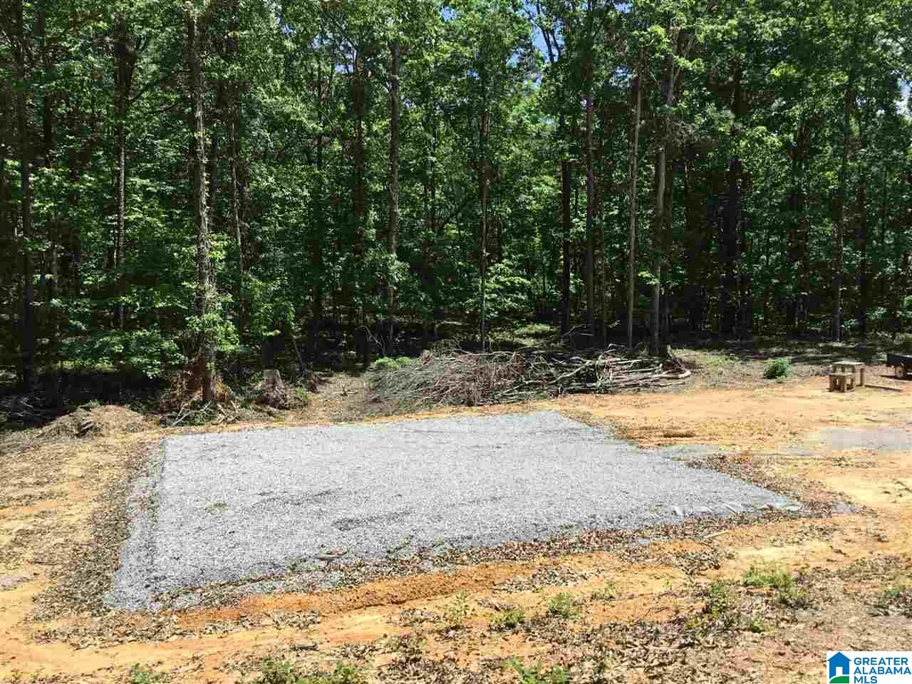 7237 Joinertown Road, Unit 7 09 ACRES Columbiana, AL 35051 - Photo 4 of 17
