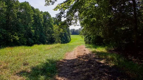 $425,000 | 1142 Poss Road, Smithville, TN 37166