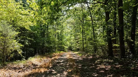 $425,000 | 1142 Poss Road, Smithville, TN 37166