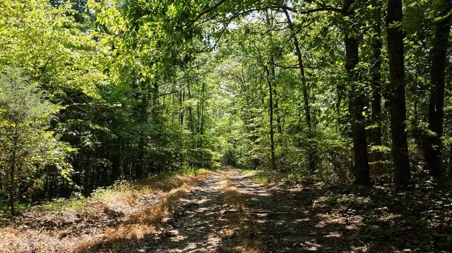 $425,000 | 1142 Poss Road, Smithville, TN 37166