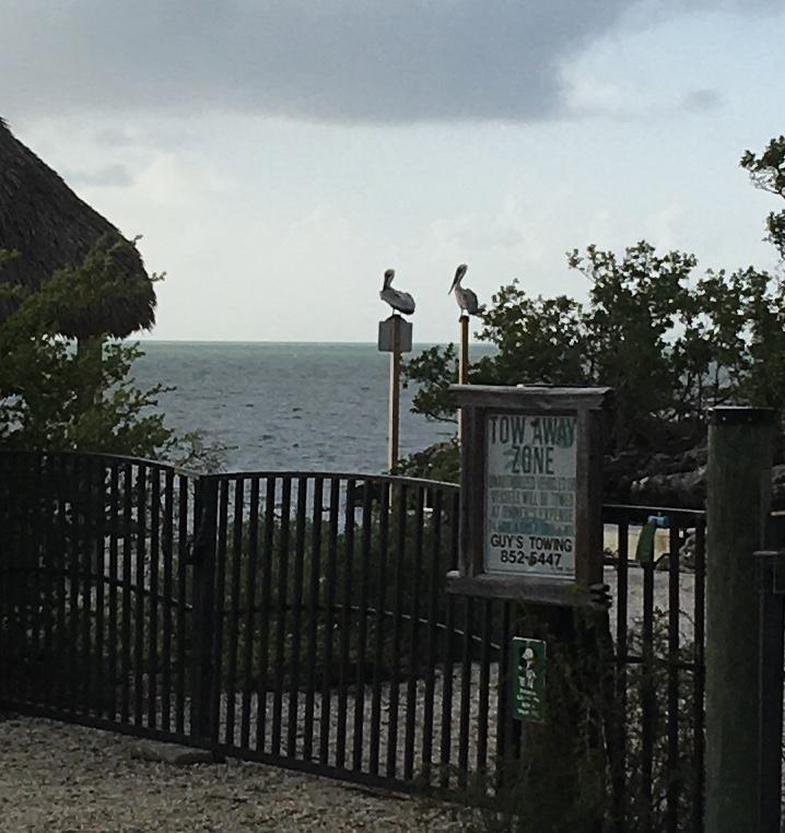 1119 Heron Road Key Largo, FL 33037 - Photo 29 of 30 HO Park with ramp