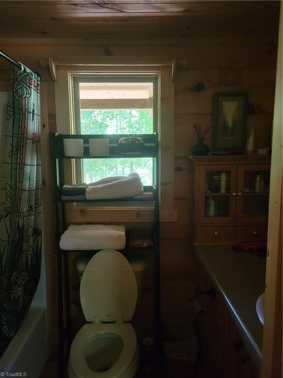 2341 Grissel Tail Road Traphill, NC 28685 - Photo 10 of 31 Gallery Image 10