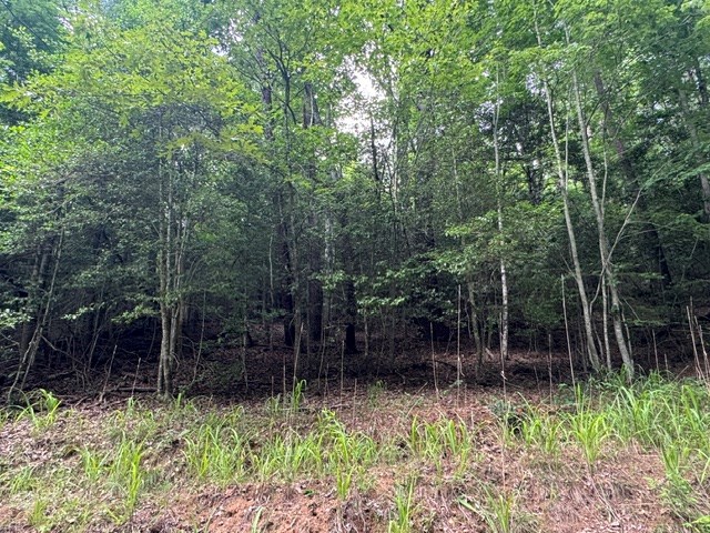 9 Timberline Road Murphy, NC 28906 - Photo 11 of 14 Gallery Image 11