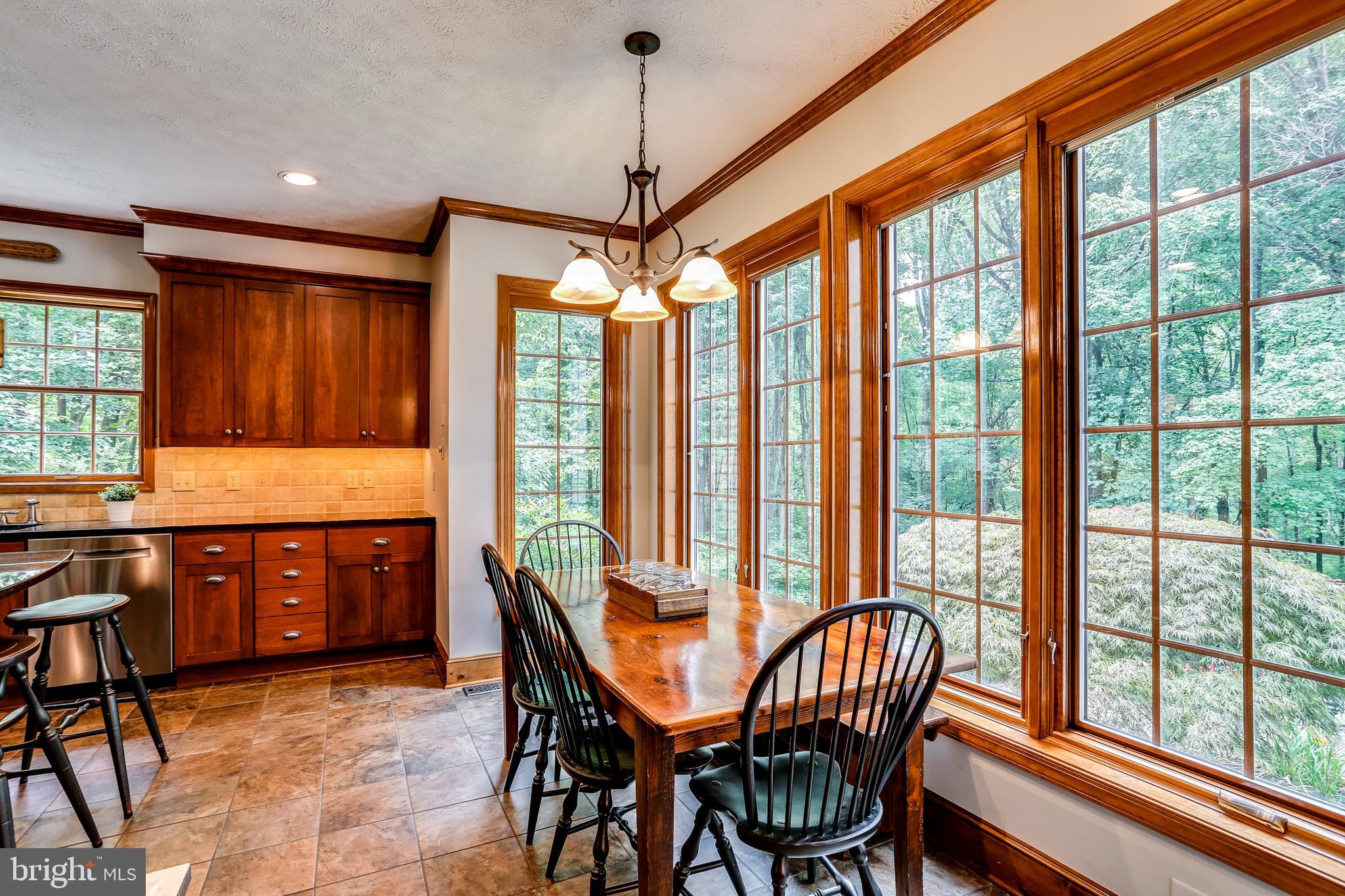 12605 Knoll Road Mount Airy, MD 21771 - Photo 13 of 58 New Pella windows in kitchen!