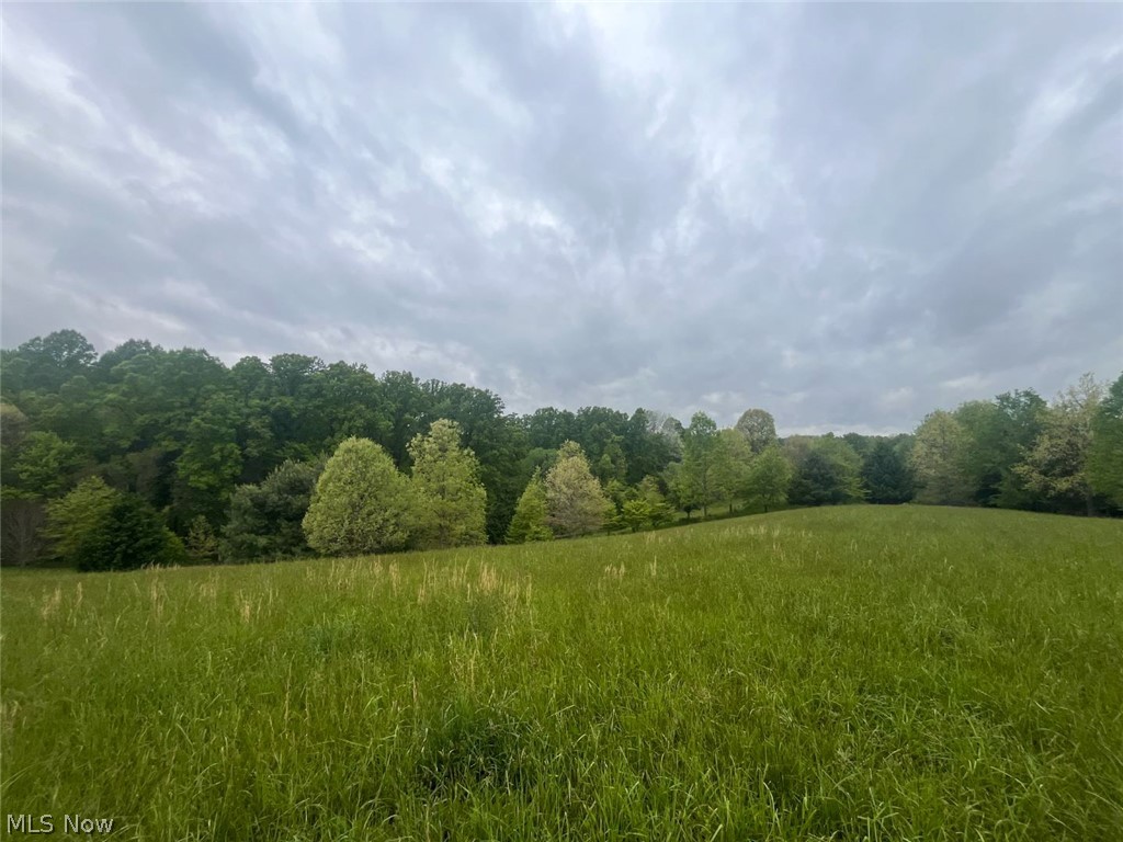87085 Crall Road Scio, OH 43988 - Photo 4 of 17
