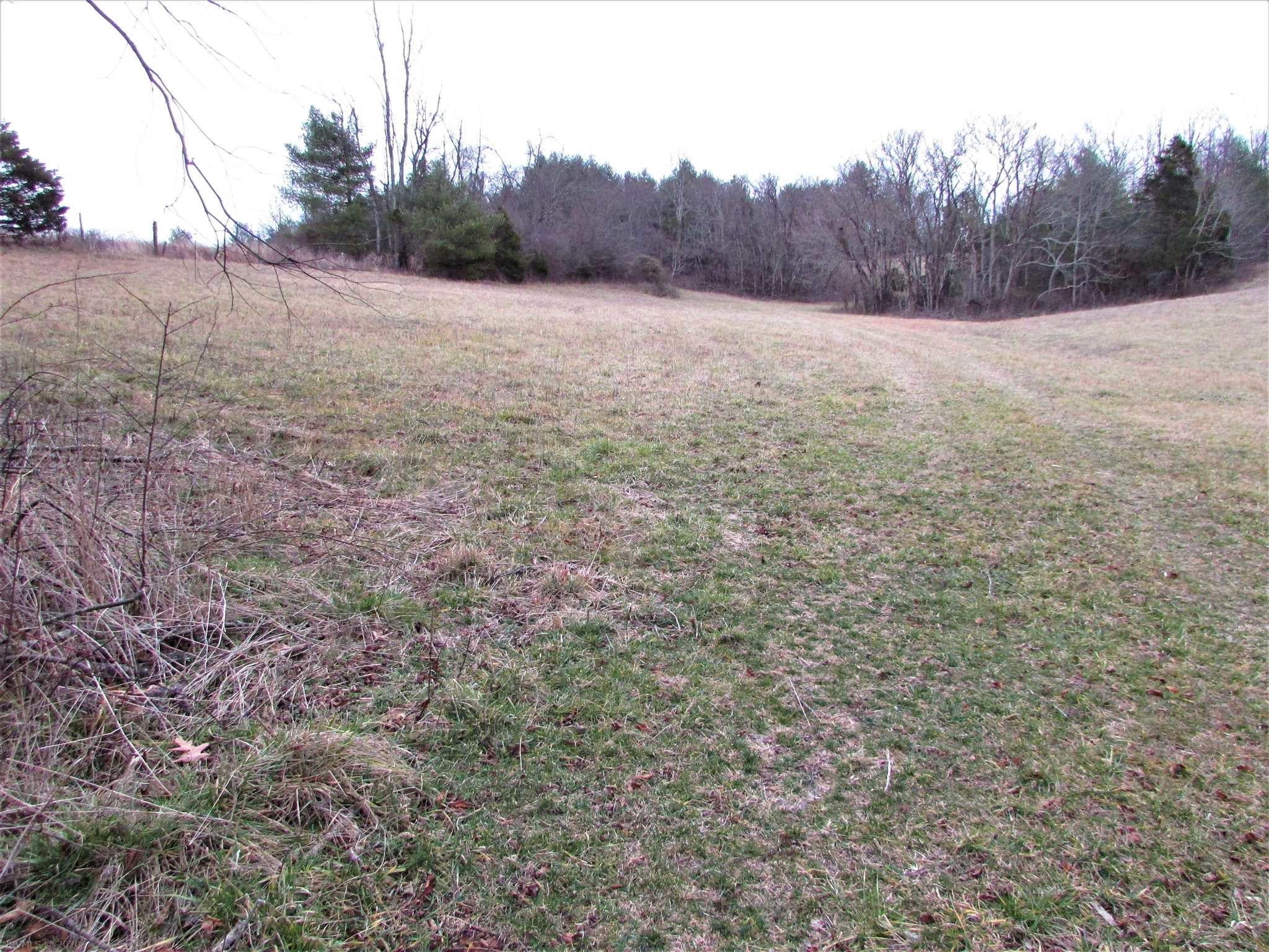 3039 Foster Falls Road Barren Springs, VA 24313 - Photo 30 of 35 Gallery Image 30