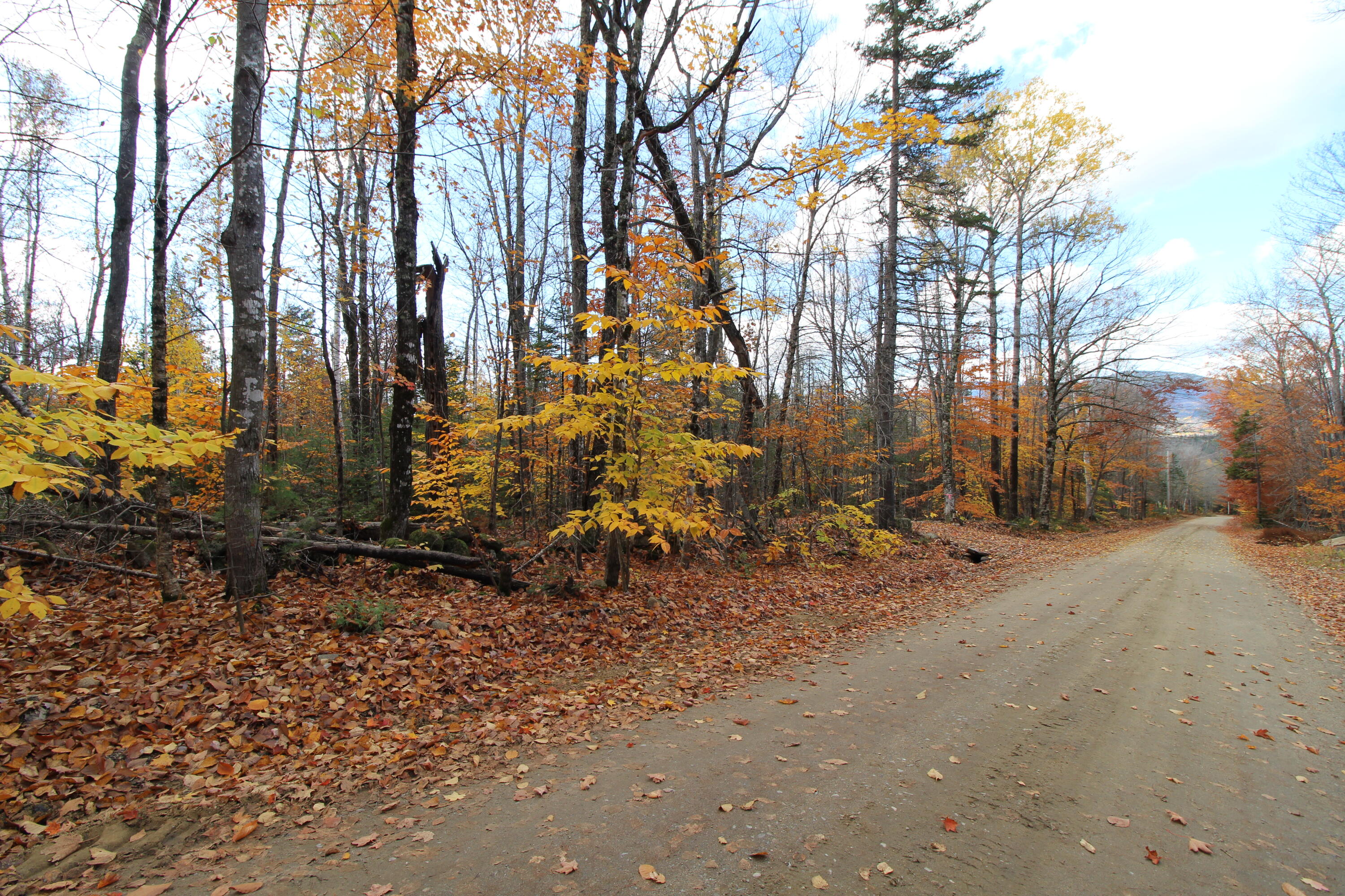 2 Center Hill Road Weld, ME 04285 - Photo 3 of 9 IMG_4473