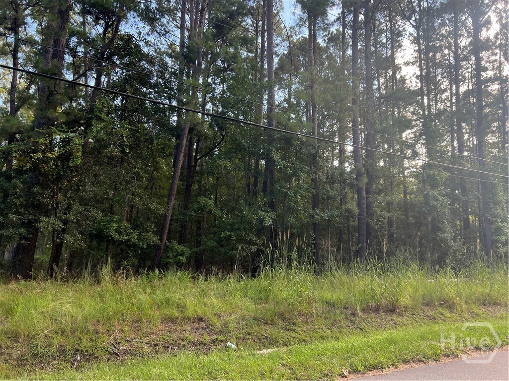 0 Grove Point Road Savannah, GA 31419 - Photo 1 of 4 Gallery Image 1