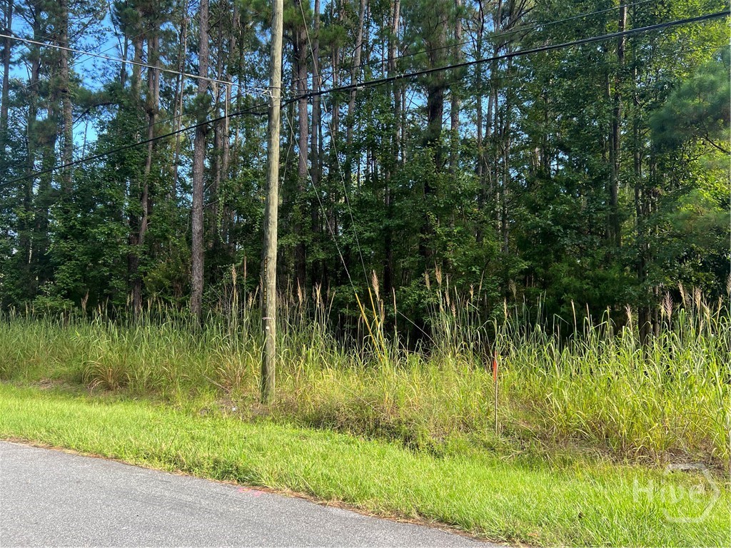 0 Grove Point Road Savannah, GA 31419 - Photo 2 of 4 Gallery Image 2