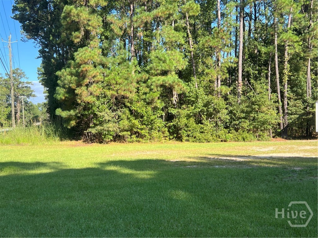 0 Grove Point Road Savannah, GA 31419 - Photo 3 of 4 Gallery Image 3