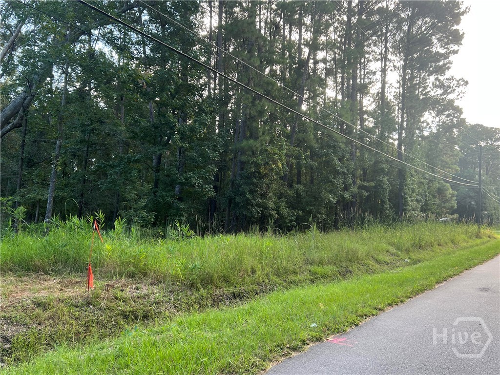 0 Grove Point Road Savannah, GA 31419 - Photo 4 of 4 Gallery Image 4