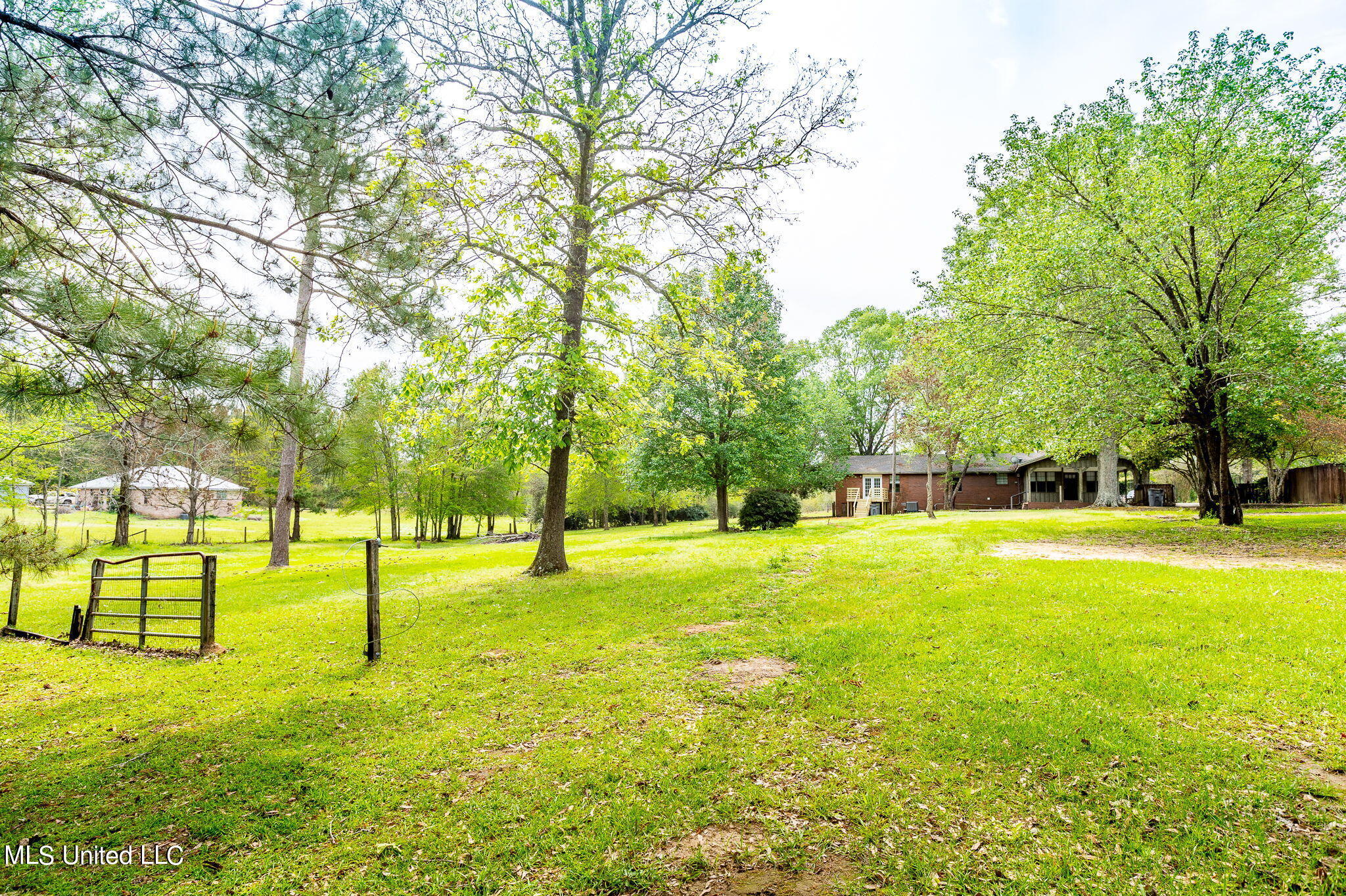 258 T Smith Road Hattiesburg, MS 39401 - Photo 32 of 41 Backyard